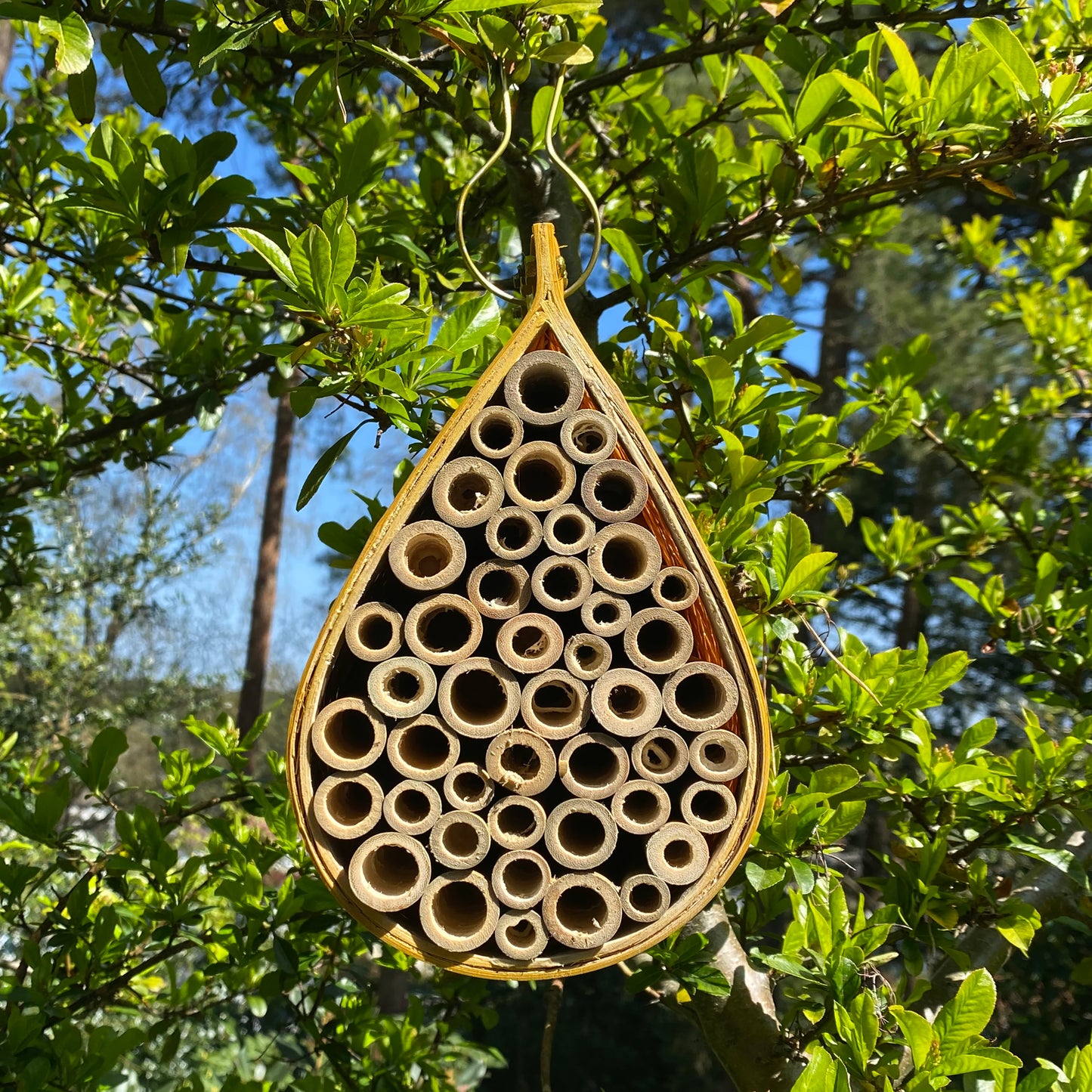 Hanging Teardrop Bird Nest Box, Insect Hotel & Butterfly House Wildlife Care Set