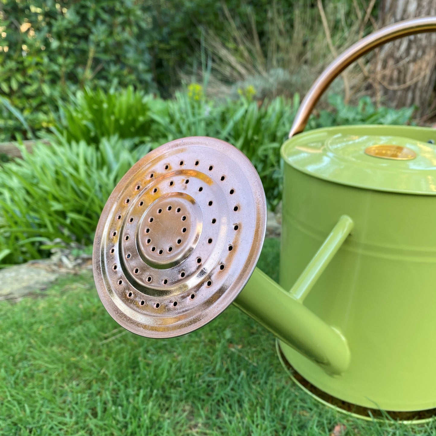Sage Green & Copper Metal Watering Can with Rose (9 Litre)