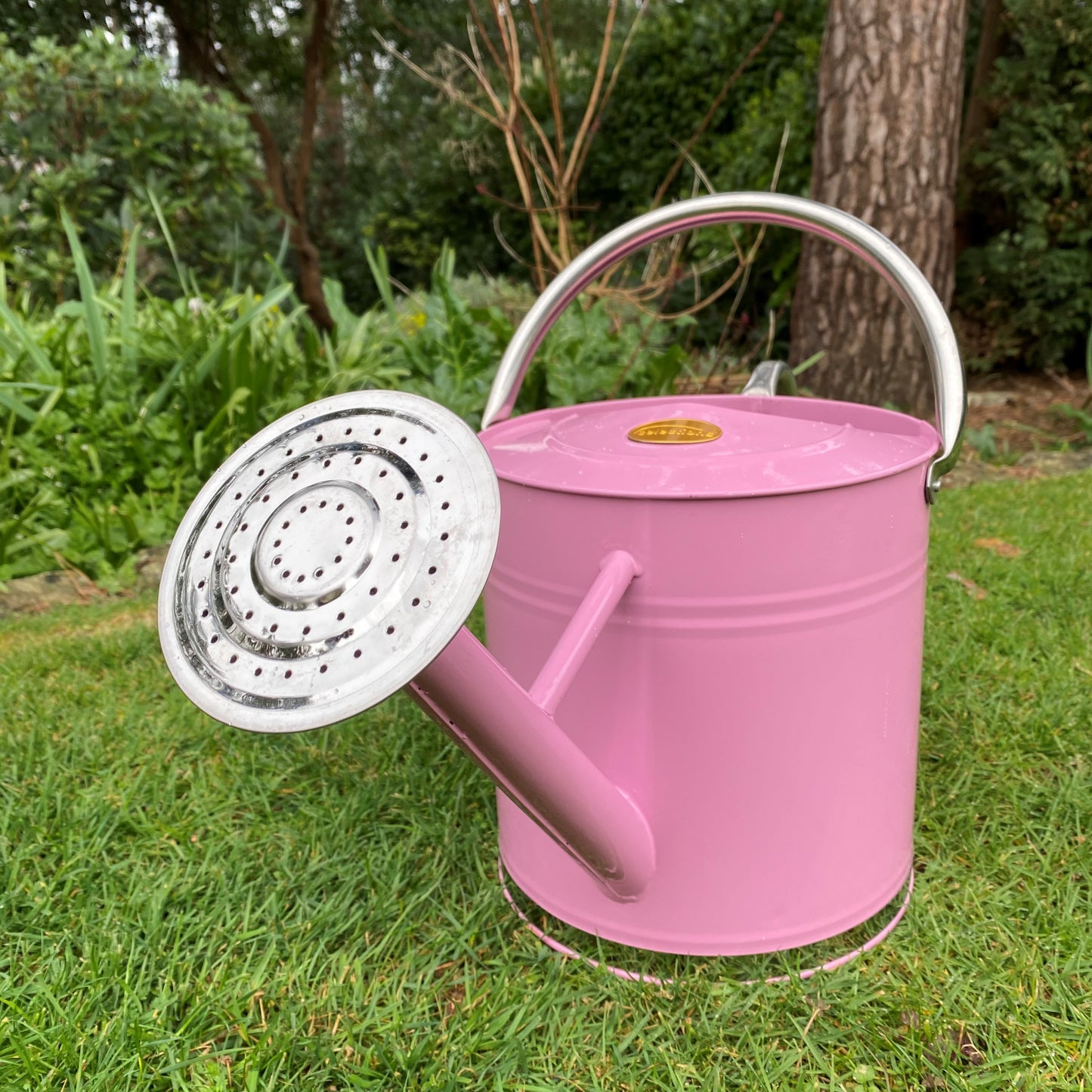 Rose for 9 Litre Peony Pink Watering Can GFK692