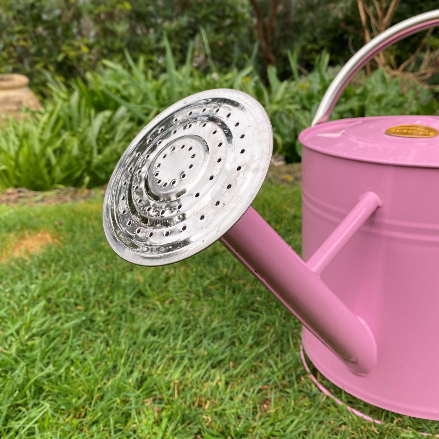 Pink & Chrome Metal Watering Can with Rose (9 Litre)