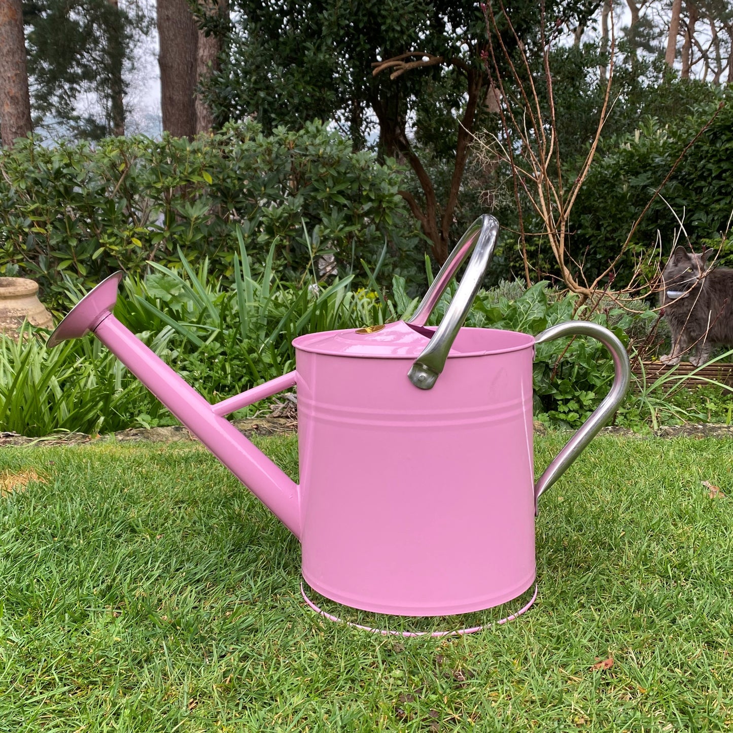 Pink & Chrome Metal Watering Can with Rose (9 Litre)