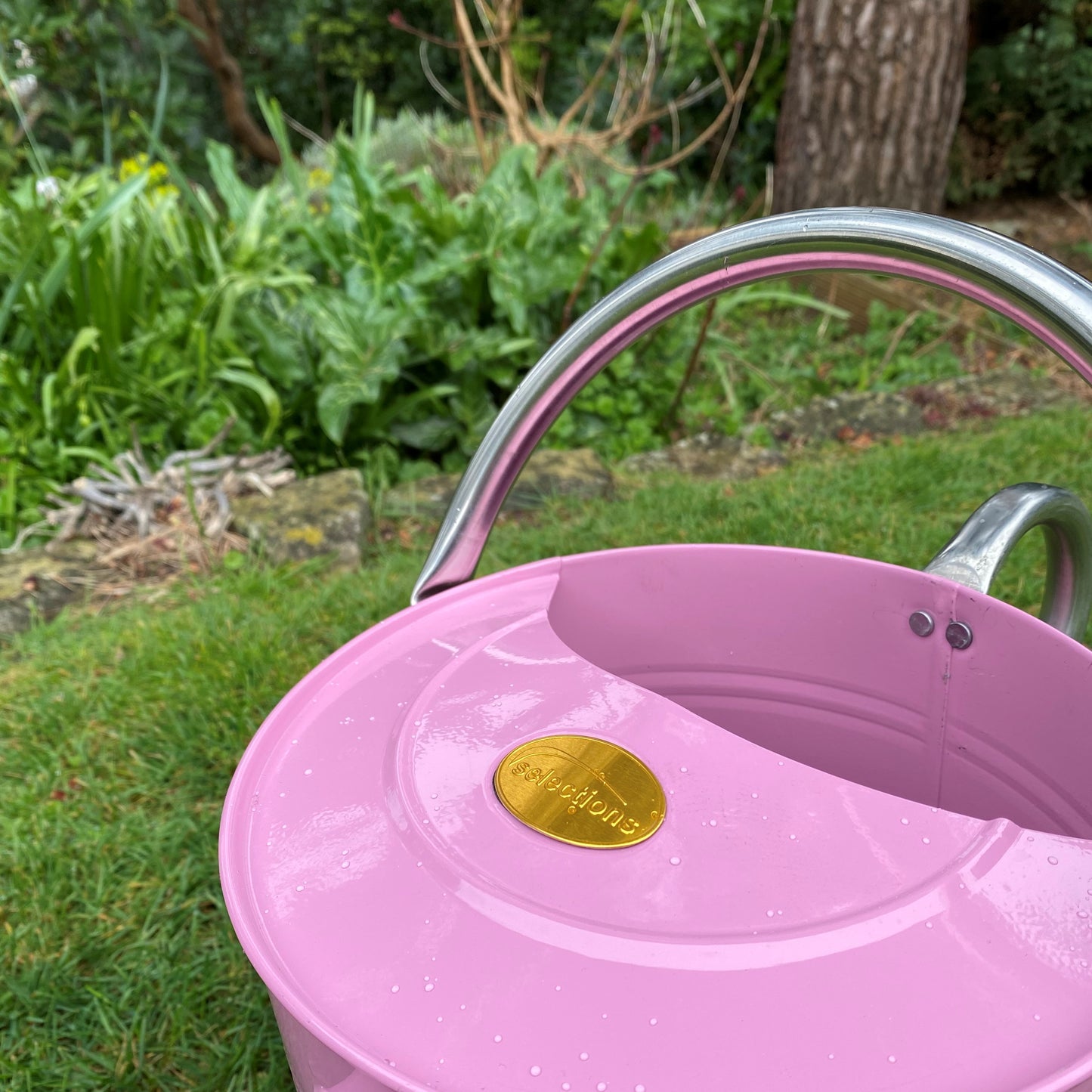 Pink & Chrome Metal Watering Can with Rose (9 Litre)