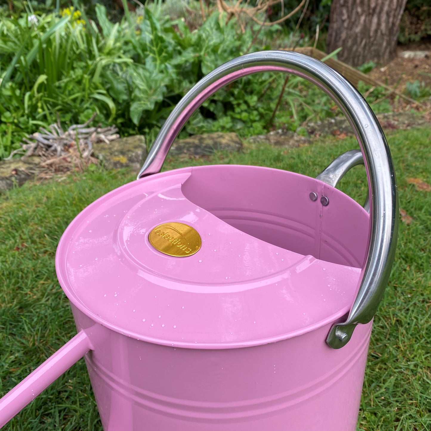 Pink & Chrome Metal Watering Can with Rose (9 Litre)