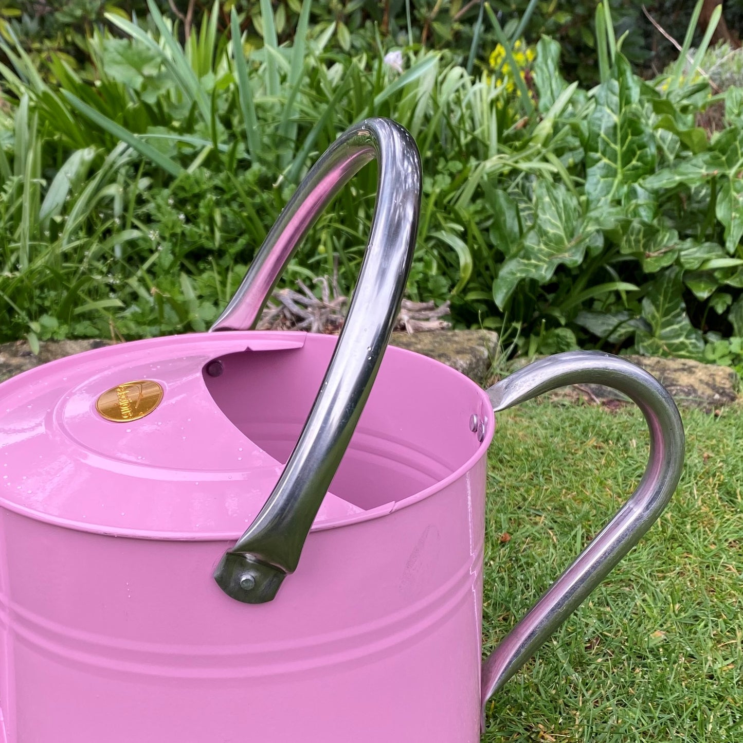 Pink & Chrome Metal Watering Can with Rose (9 Litre)