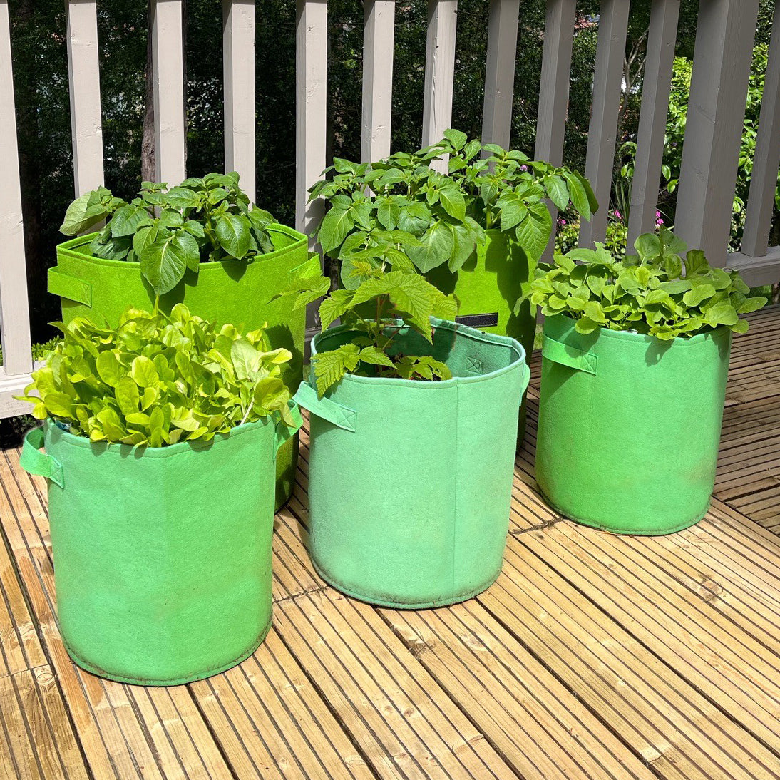 Potato & Vegetable Planter Grow Bags (Set of 5) Non - Woven Aeration Fabric Pots