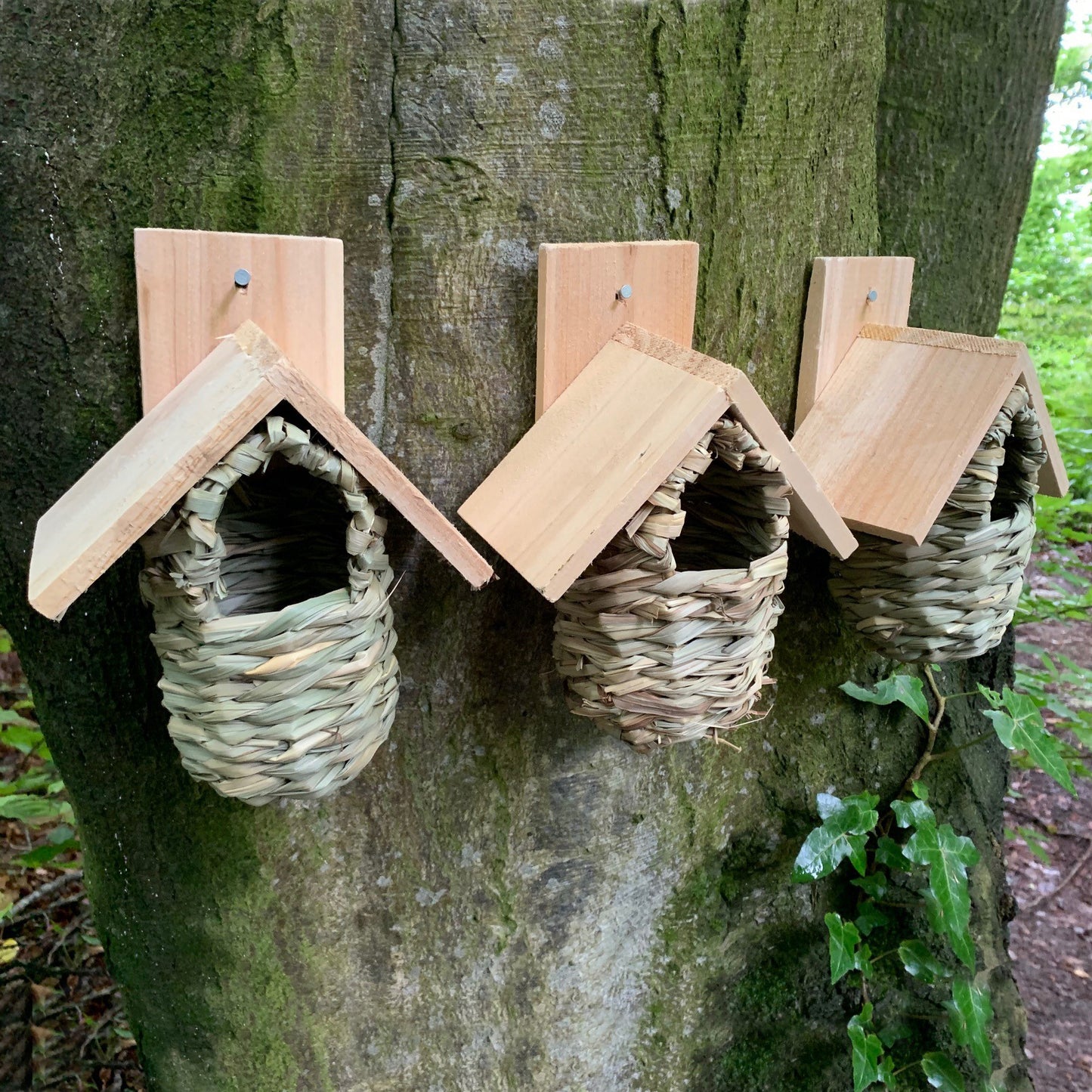 Seagrass and Reed Bird Nesting Pouches with Wooden Roof (Set of 6)