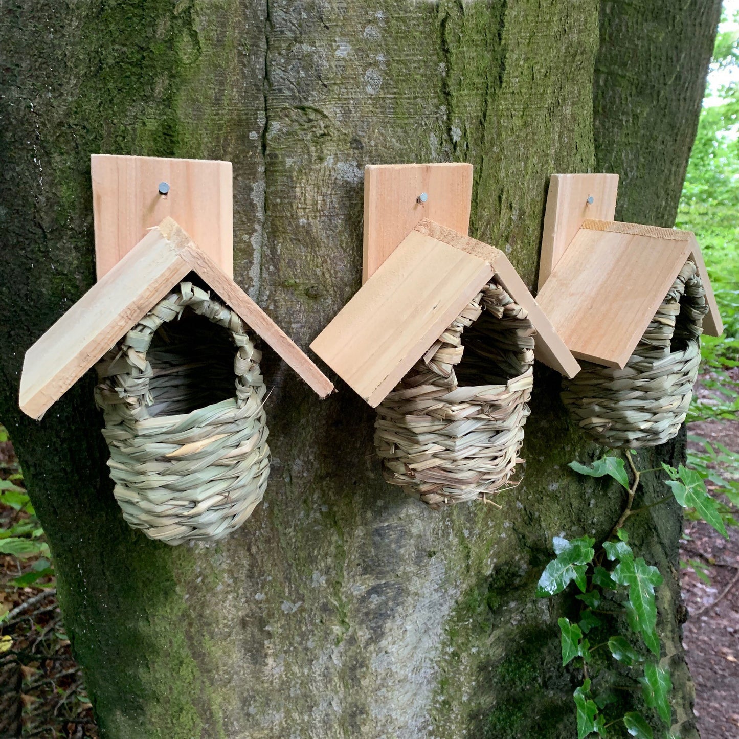 Reed Bird Nesting Pouches with Wooden Roof (Set of 3)