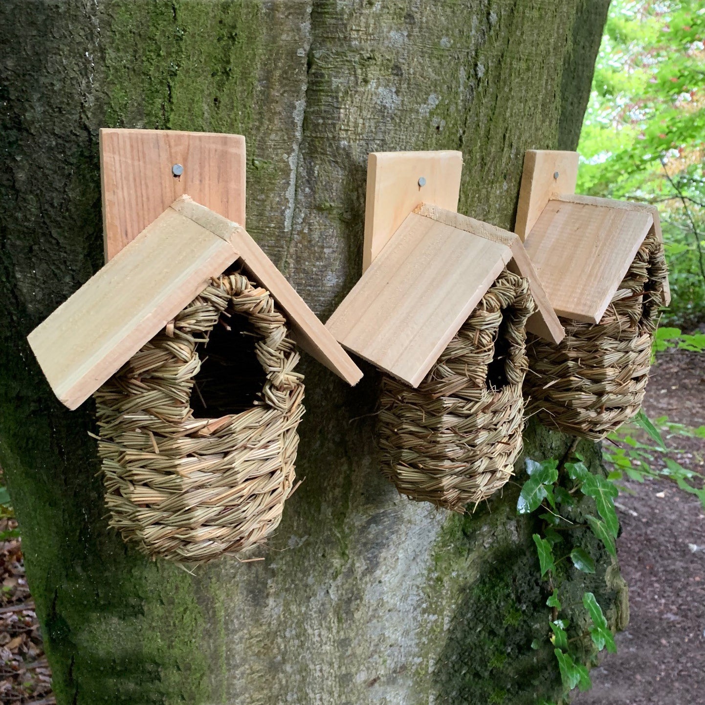 Seagrass and Reed Bird Nesting Pouches with Wooden Roof (Set of 6)