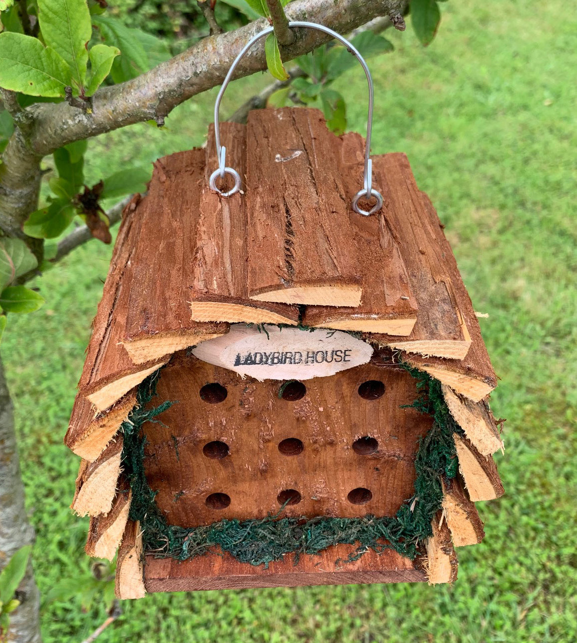 Wooden Hanging Ladybird House (Set of 2)