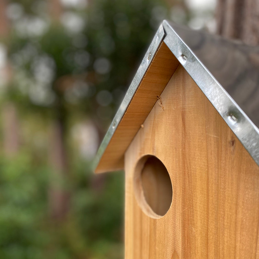 Squirrel Nest Box With Metal Roof