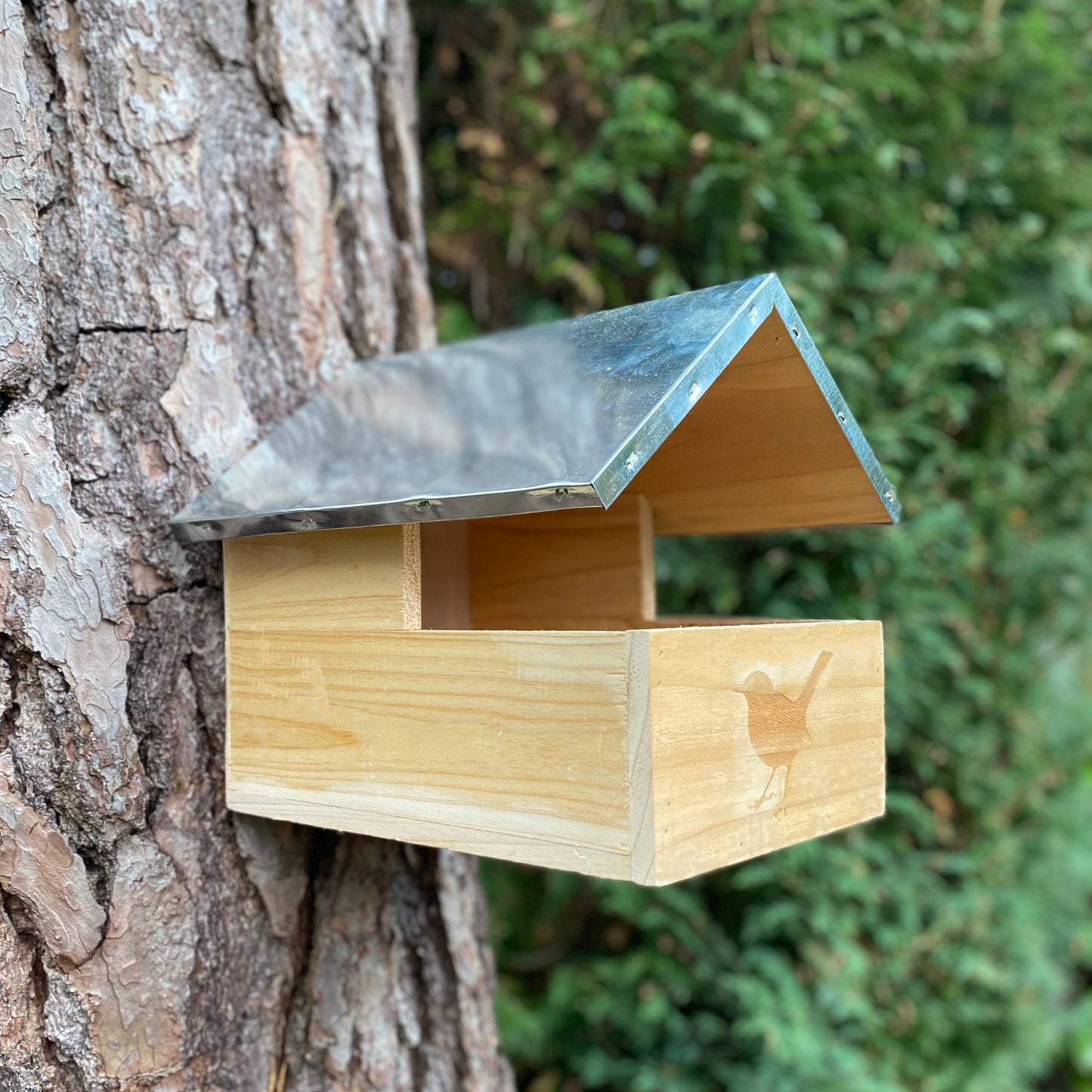 Blackbird Wooden Nesting Box