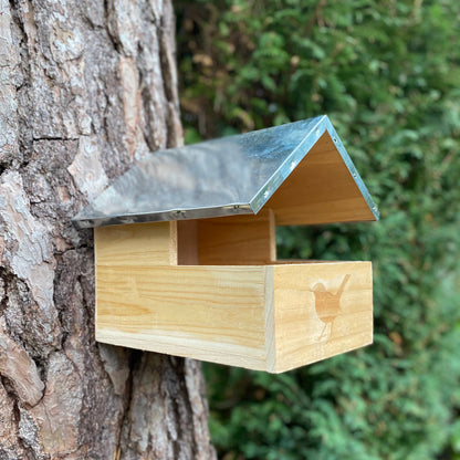 Blackbird Wooden Nesting Box