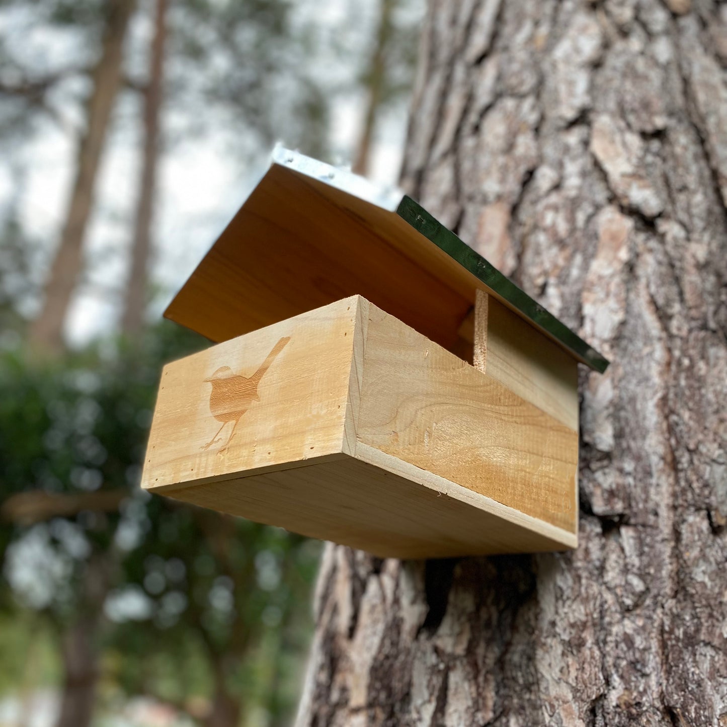 Squirrel Nest Box And Wooden Bird Nesting Box Set