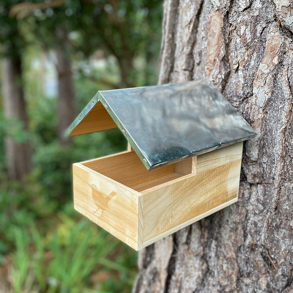 Blackbird Wooden Nesting Box