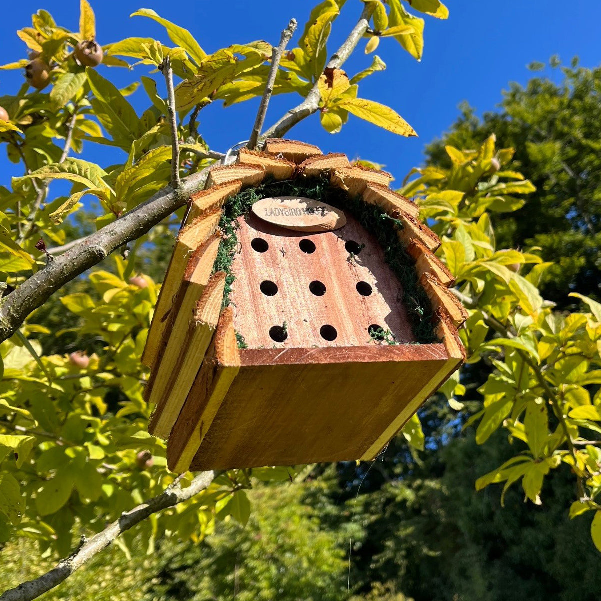 Wooden Hanging Ladybird House (Set of 2)