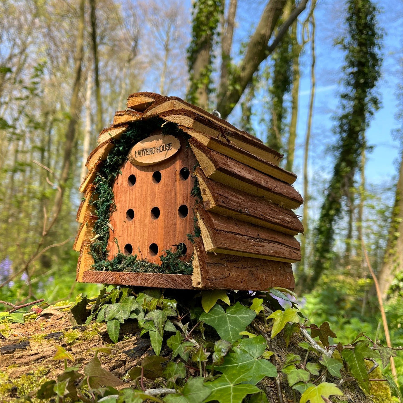 Wooden Solitary Bee Hive Hotel Habitat & Hanging Ladybird Hotel