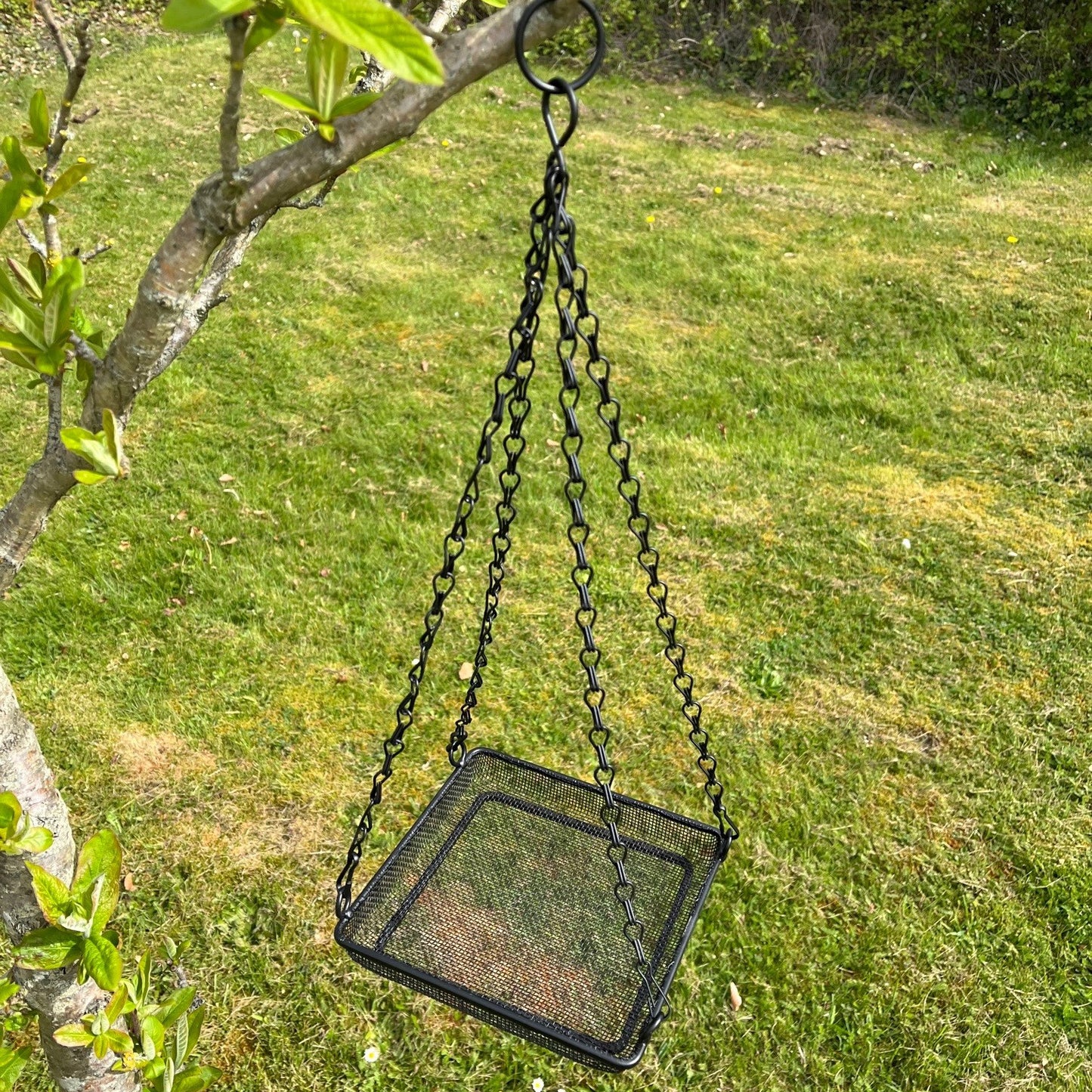 Hanging Metal Bird Seed & Nut Feeder Tray