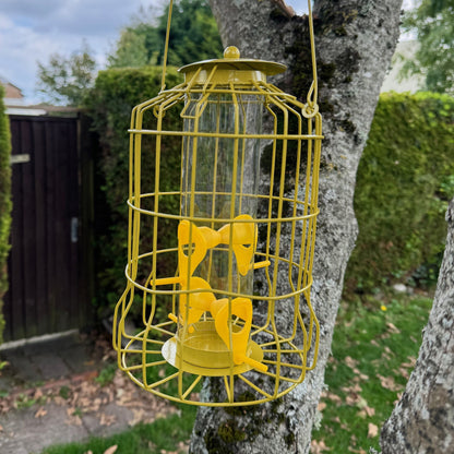 Squirrel Proof Hanging Bird Seed Feeder