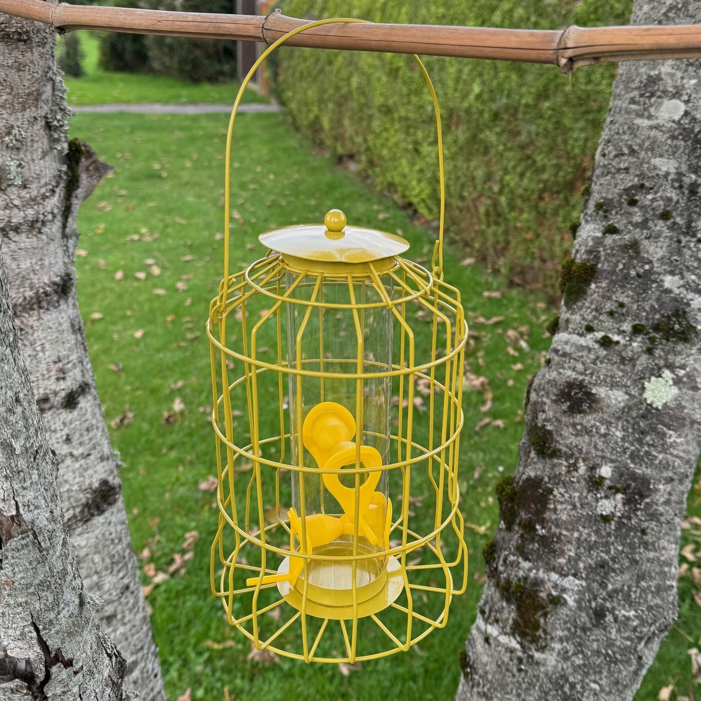 Squirrel Proof Hanging Bird Seed Feeder