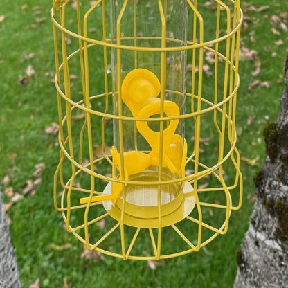 Squirrel Proof Hanging Bird Seed Feeder