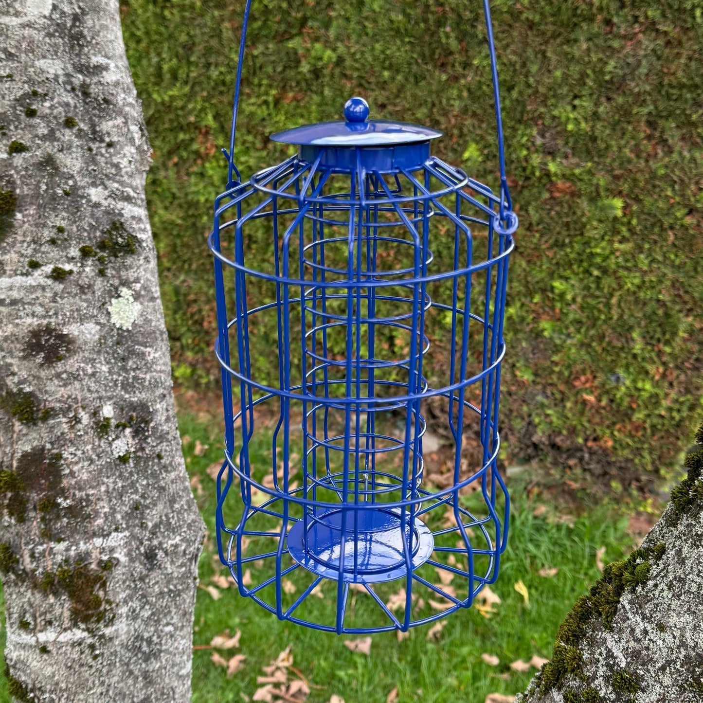 Squirrel Proof Hanging Suet Fatball Bird Feeder (Set of 2)