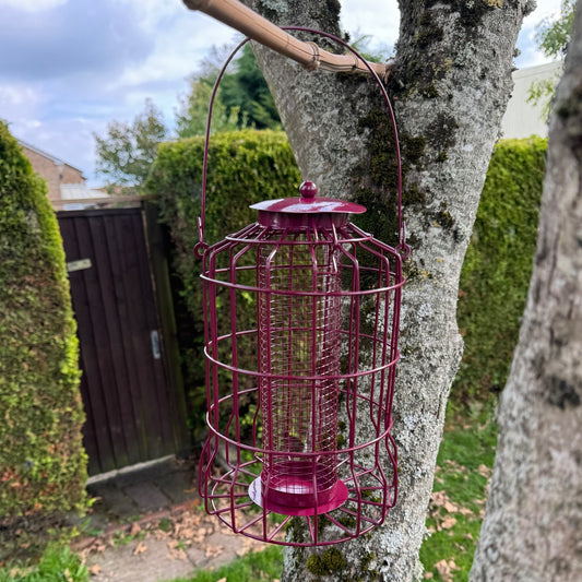 Squirrel Proof Hanging Bird Nut Feeder