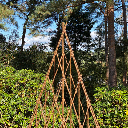 Pair of Expanding Willow Garden Obelisks (1.5m)