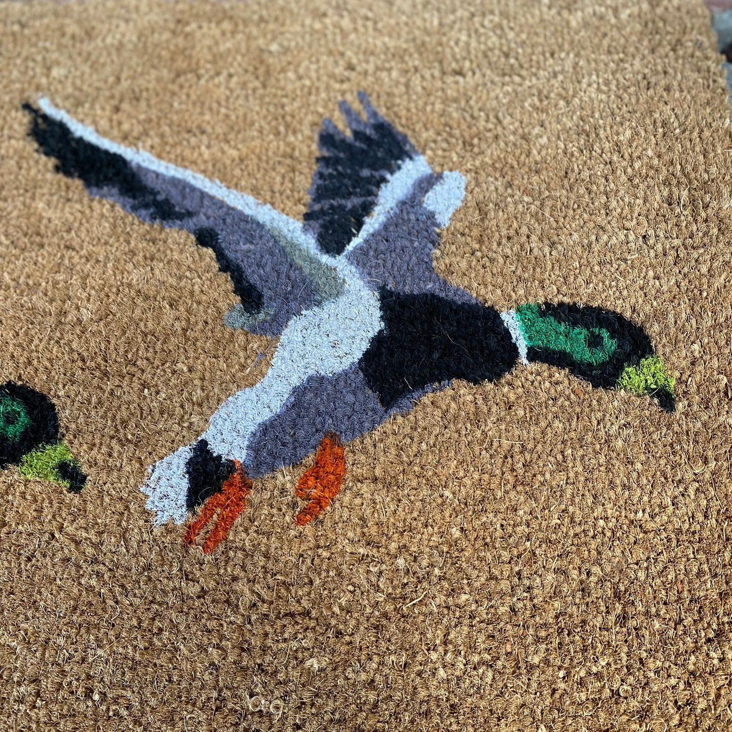 Flying Duck Doormat and Boot Brush Set