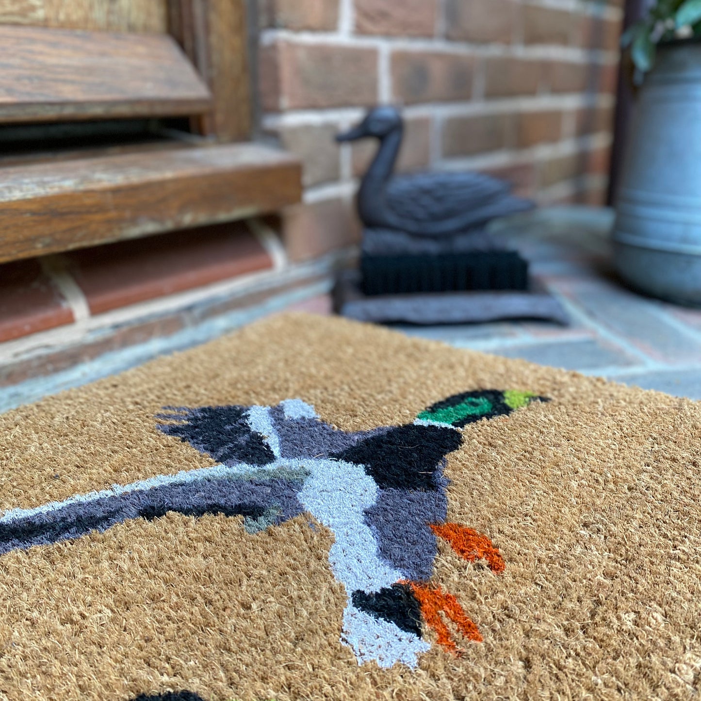 Flying Duck Doormat and Boot Brush Set