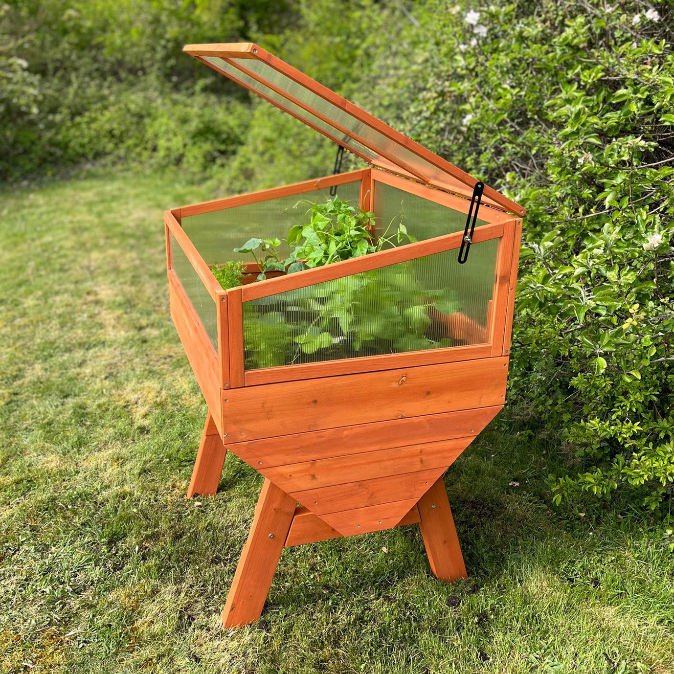 Veg-Trough Medium Wooden Raised Vegetable Bed Planter with Polycarbonate Cold Frame