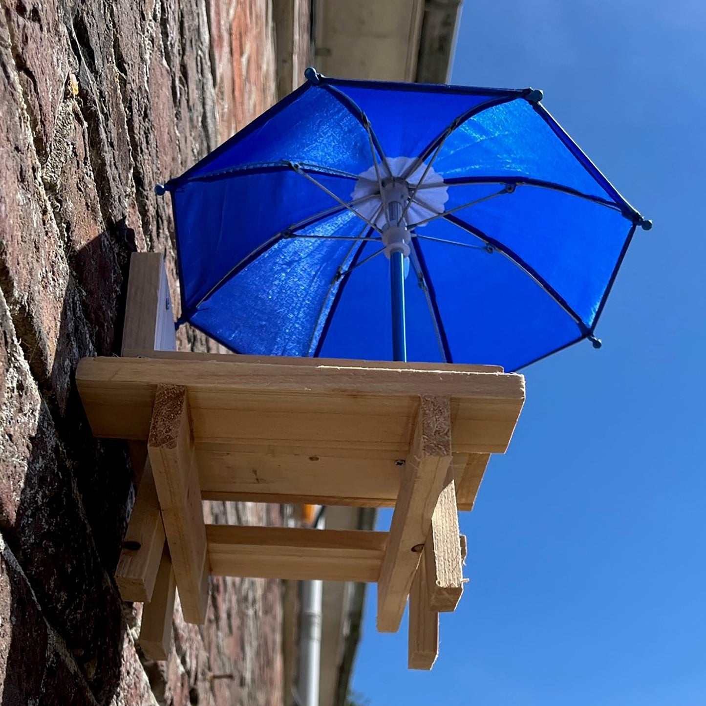 Wooden Wildlife Squirrel Feeder Picnic Table with Mini Umbrella