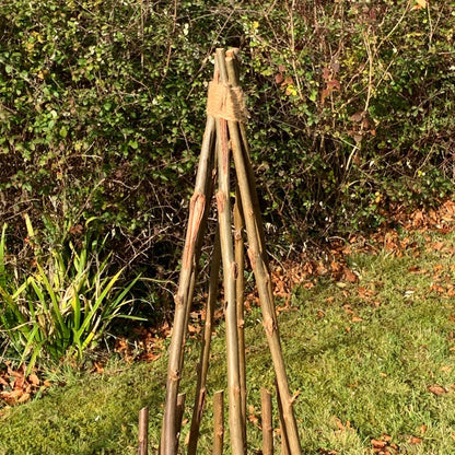 Set of 2 Rustic Willow Garden Obelisks (1.5m)