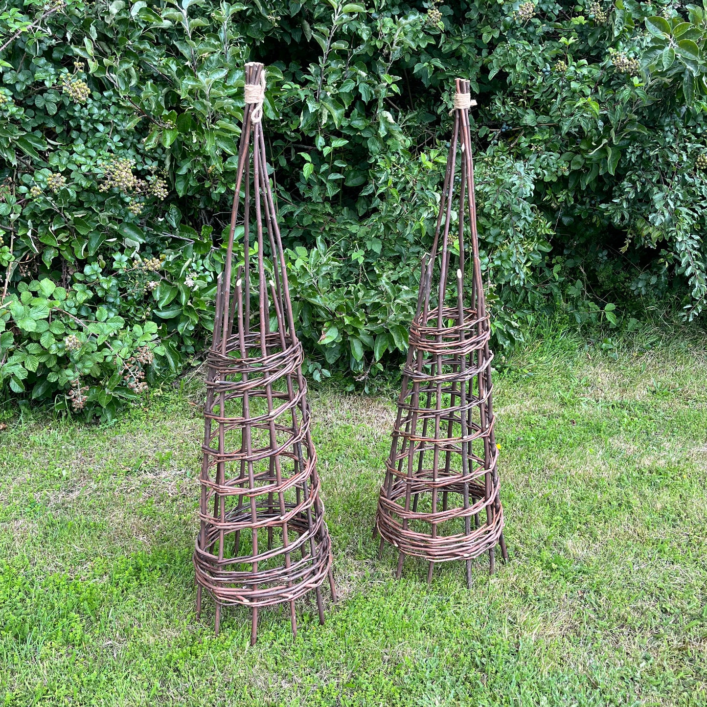 Set of 2 Rustic Willow Garden Obelisks (1.2m)