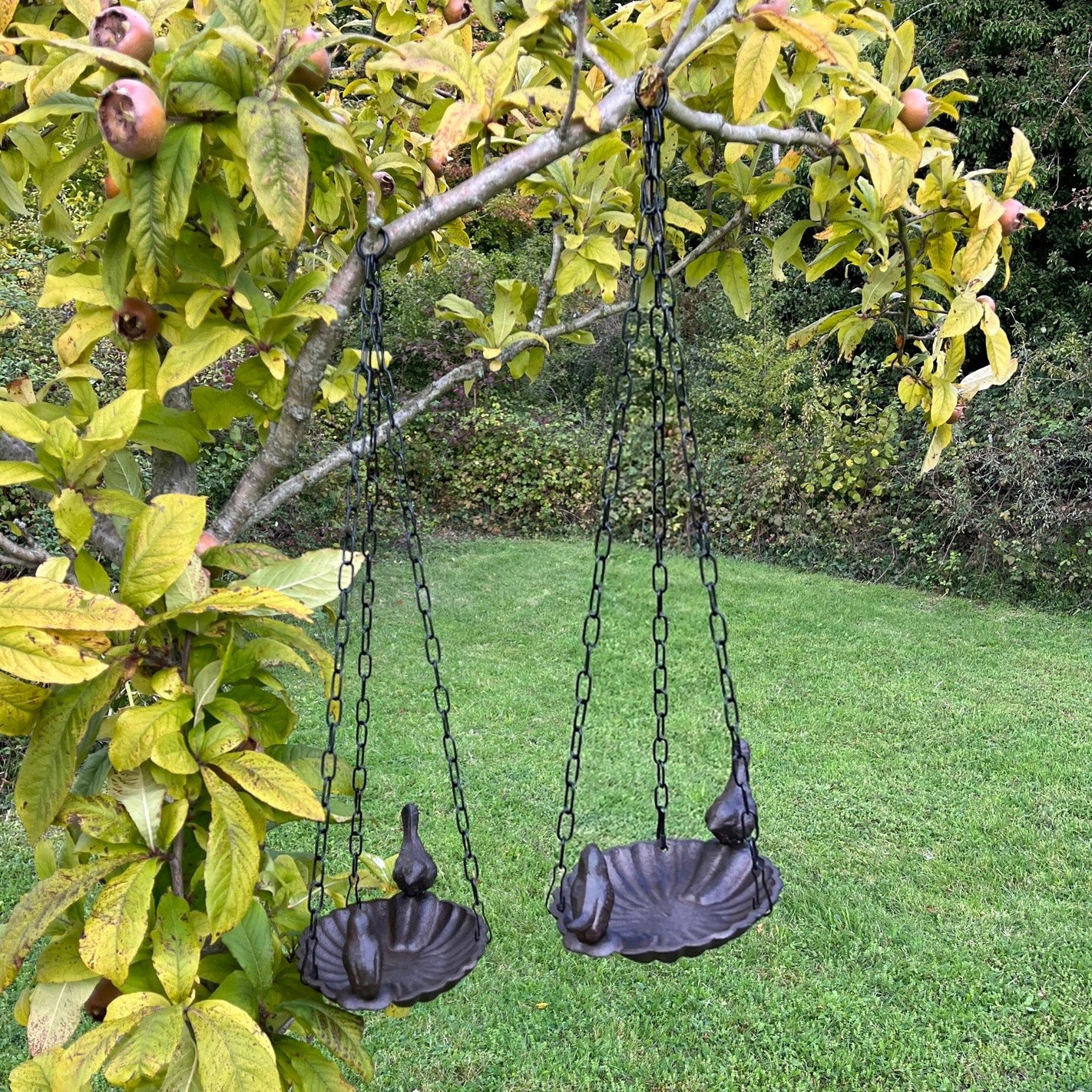 Hanging Cast Iron Garden Bird Bath (Set of 2)