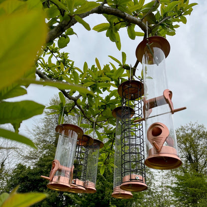 The Crichel Set of Bird Feeders Seed, Nut and Fatball (Set of 6)