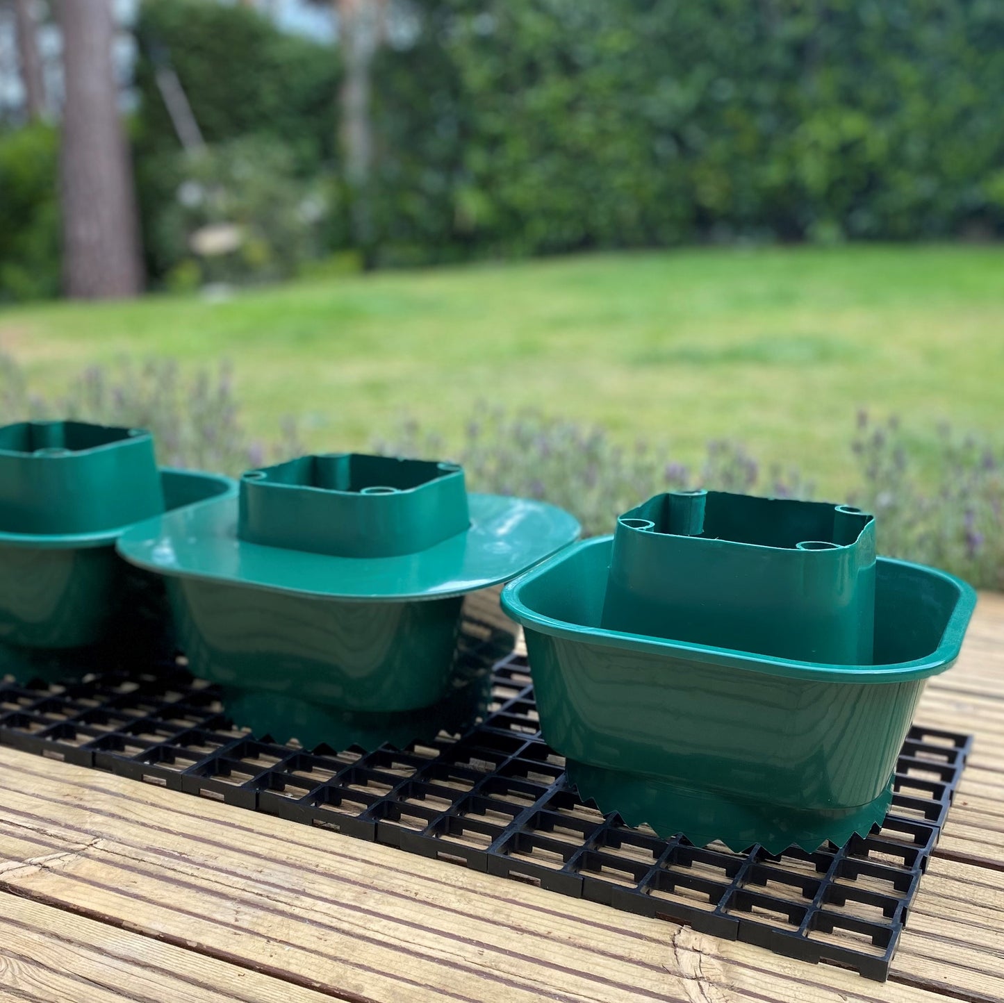 Tomato Growbag Watering Pot Kit - Set of 3 Pots with Planting Guard & Growbag Mat