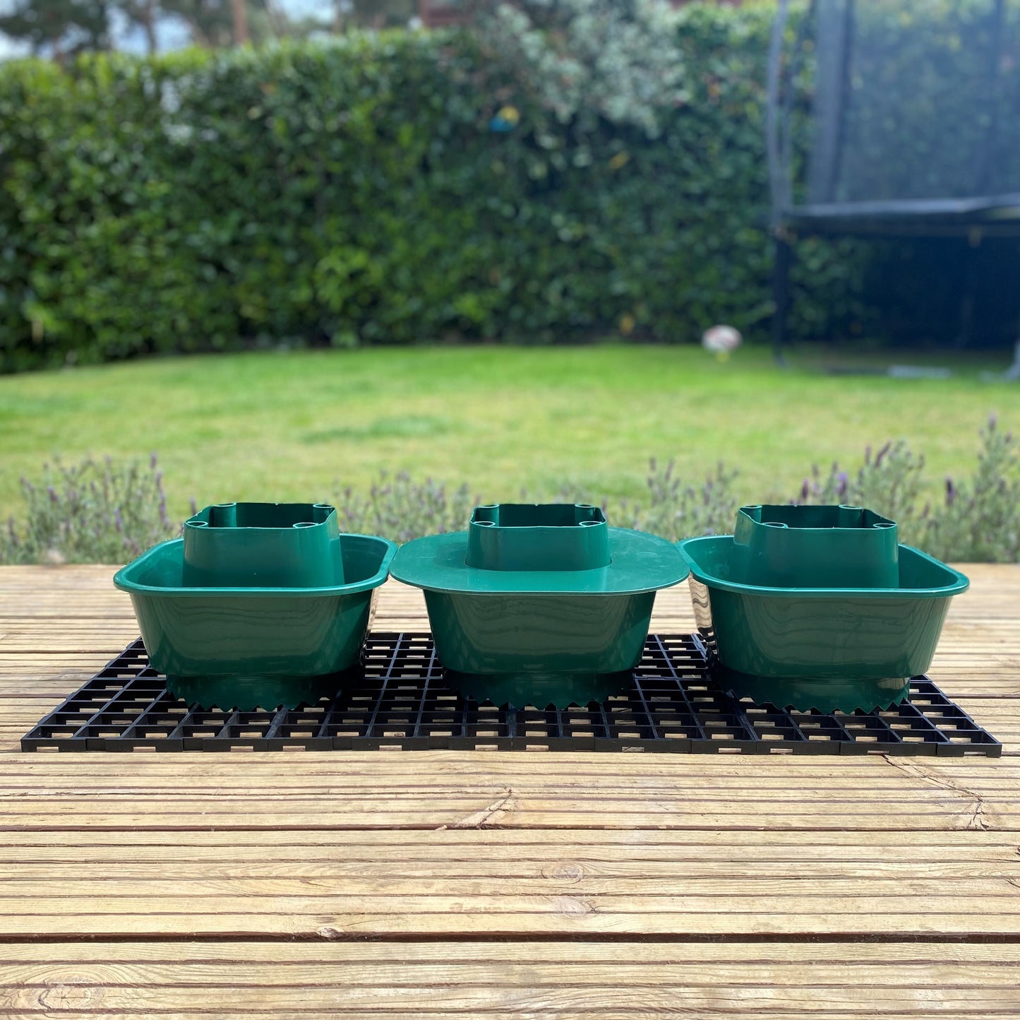 Tomato Growbag Watering Pot Kit - Set of 3 Pots with Planting Guard & Growbag Mat