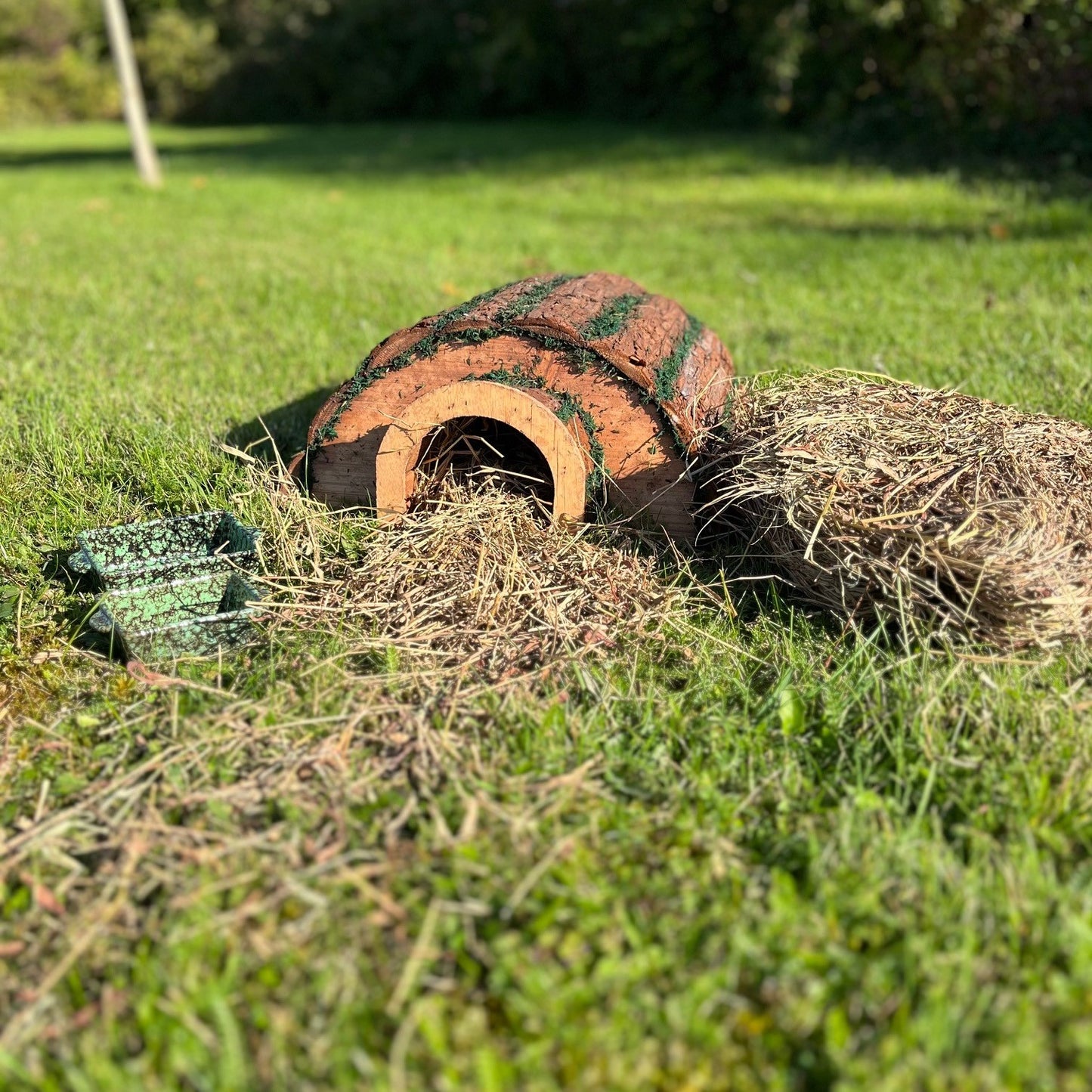 Wooden Barkwood Hedgehog House With Ceramic Food & Water Dish Set & Nesting Straw