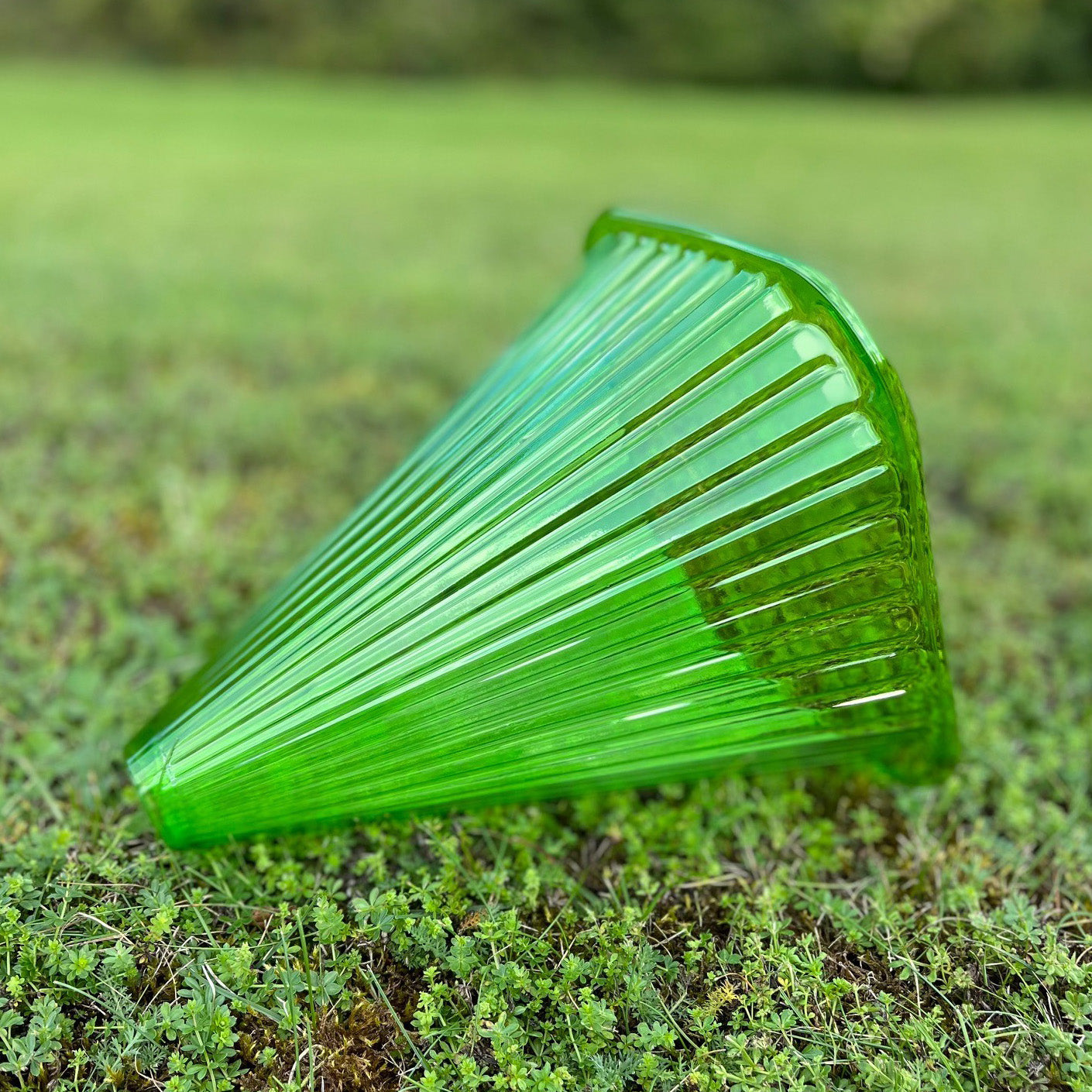 Plastic Plant Protection Cloche Covers (Pack of 12) Selections