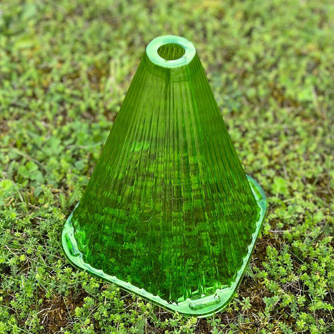 Plastic Plant Protection Cloche Covers (Pack of 12) Selections