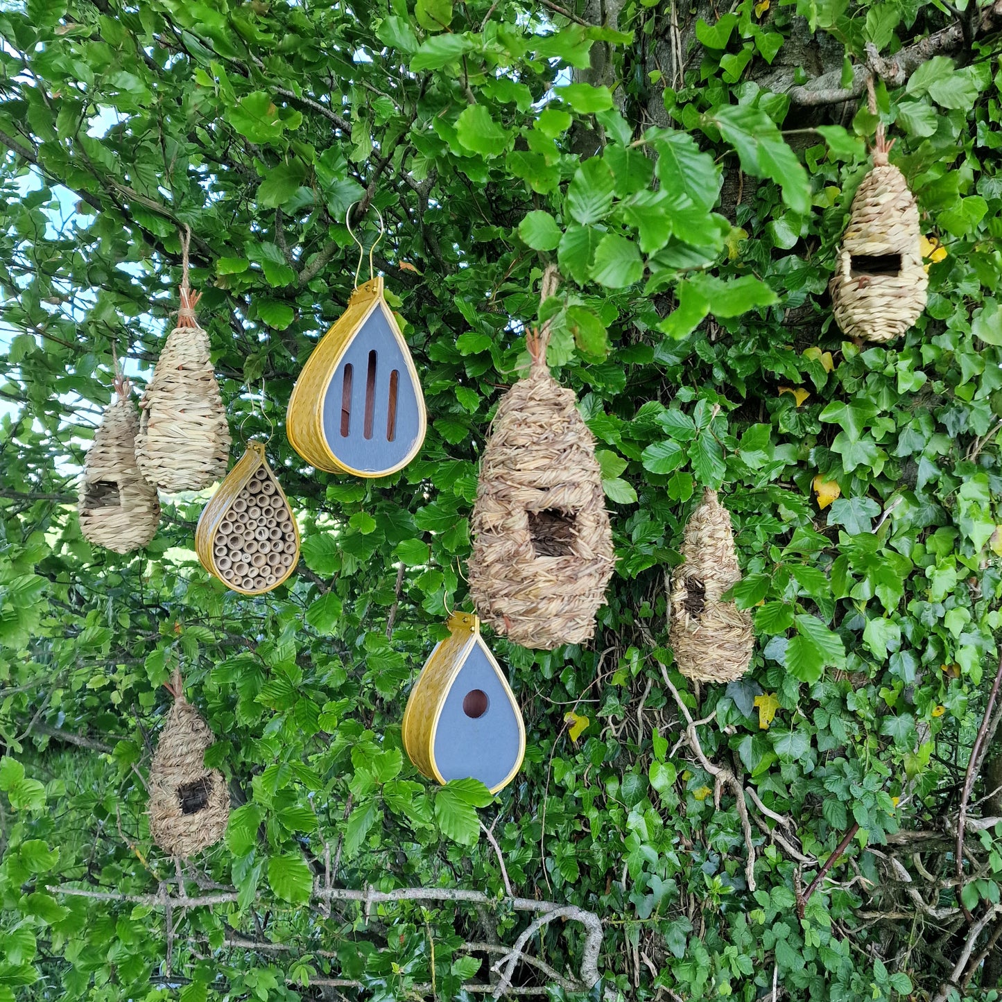 Hanging Bird Nest Box, Insect Hotel & Butterfly House & Wild Bird Roosting Habitat Pack