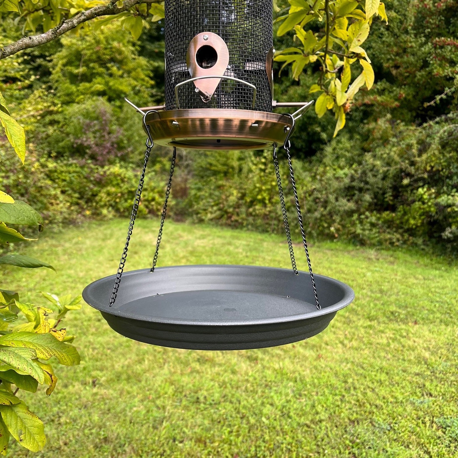 Bird feeder sale spill tray