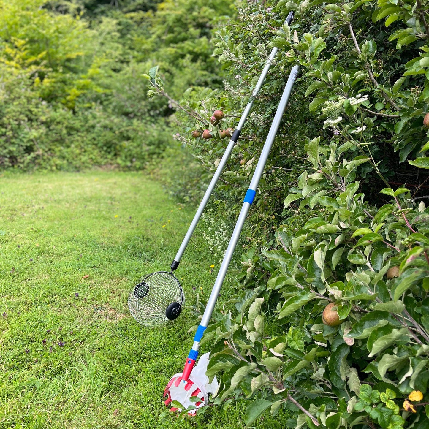 Apple Harvesting Collection Kit - Apple Picker Plus Rolling Collector