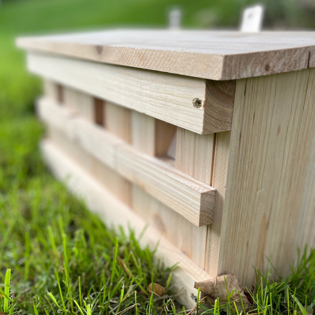 Sparrow Colony Terrace Wooden Nesting Box with Removable Nest Fronts