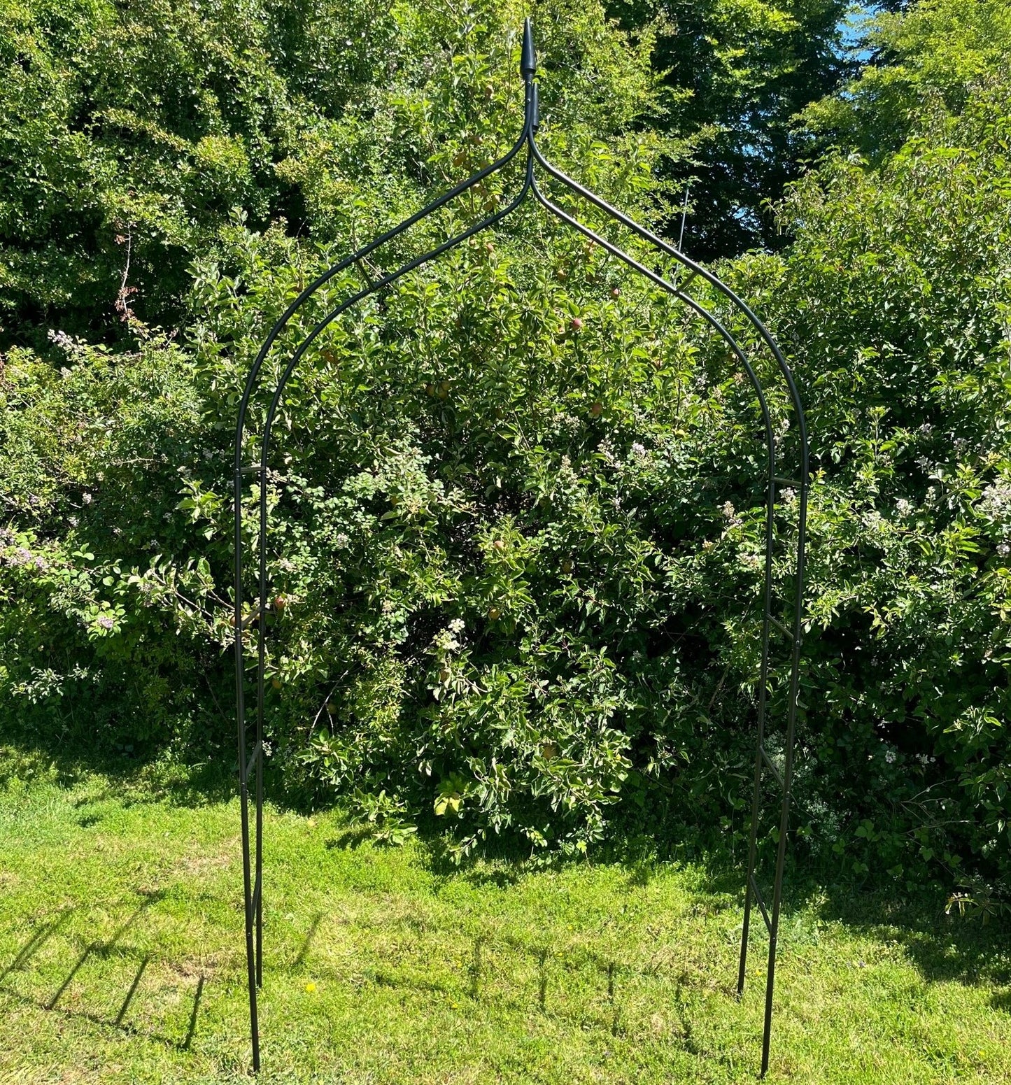 Metal Rose Black Garden Arch