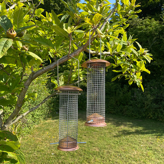 Two bird feeders hanging from a tree branch in a garden setting.