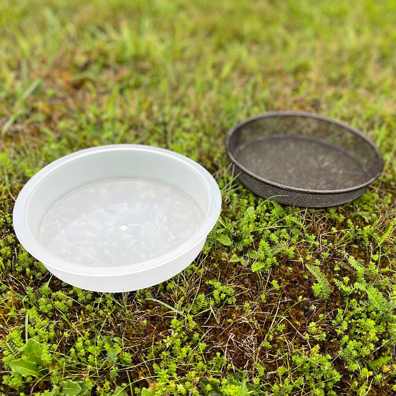 Water Dish & Mesh Seed Dish Set for Selections Metal Bird Feeding Stations