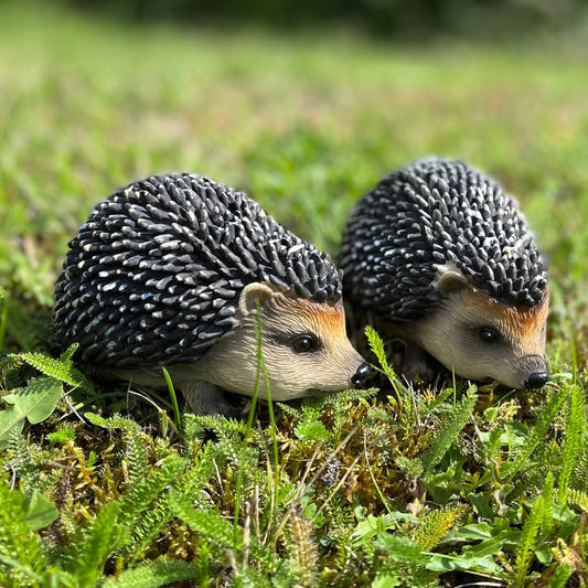 Hoglet Baby Hedgehog Resin Garden Ornament (Set of 2)