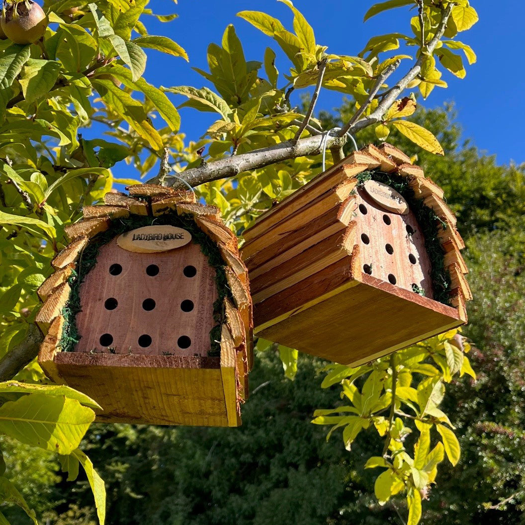 Wooden Hanging Ladybird House (Set of 2)