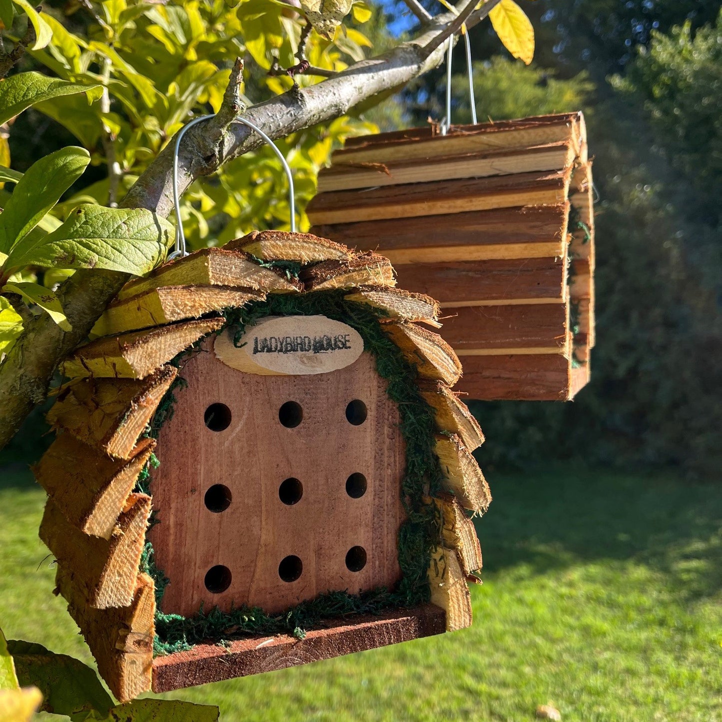 Wooden Hanging Ladybird House (Set of 2)